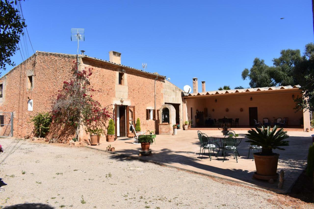 Finca Es Mateus * Campos (Mallorca)