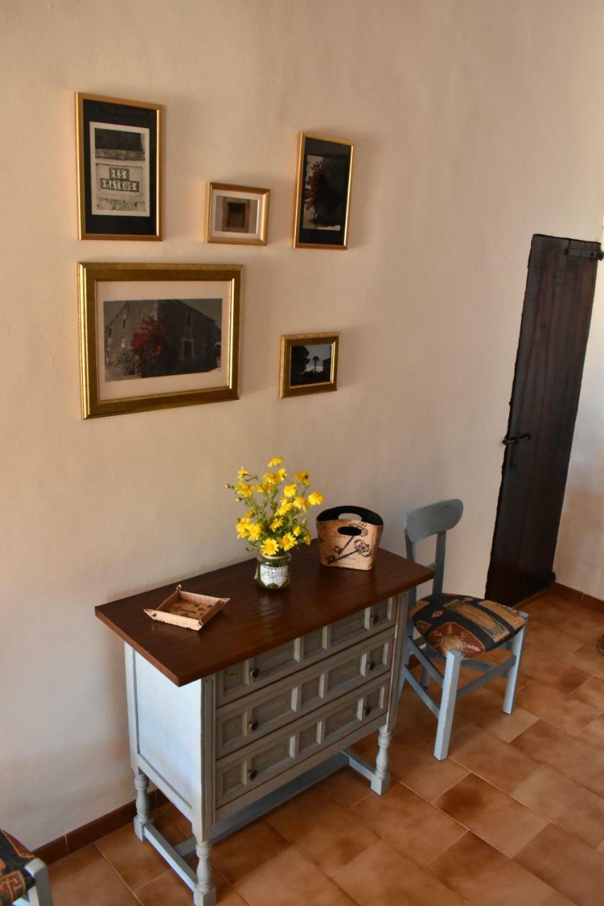 Villa Finca Es Mateus *